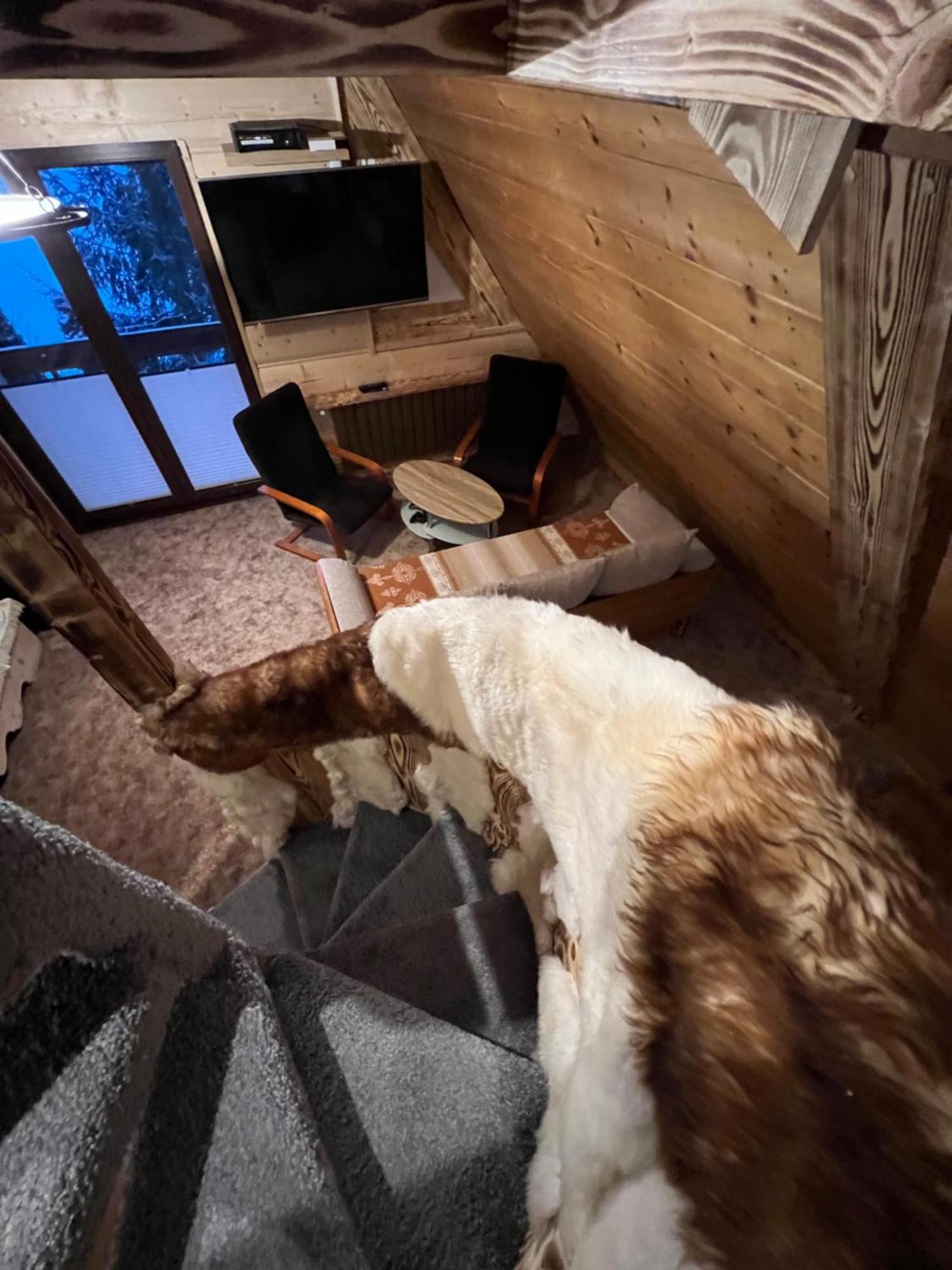 Apartamenty I Domki Taterka Koscielisko Luaran gambar