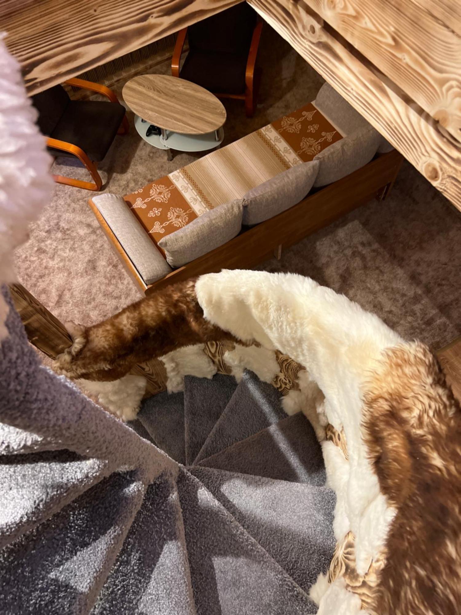 Apartamenty I Domki Taterka Koscielisko Luaran gambar
